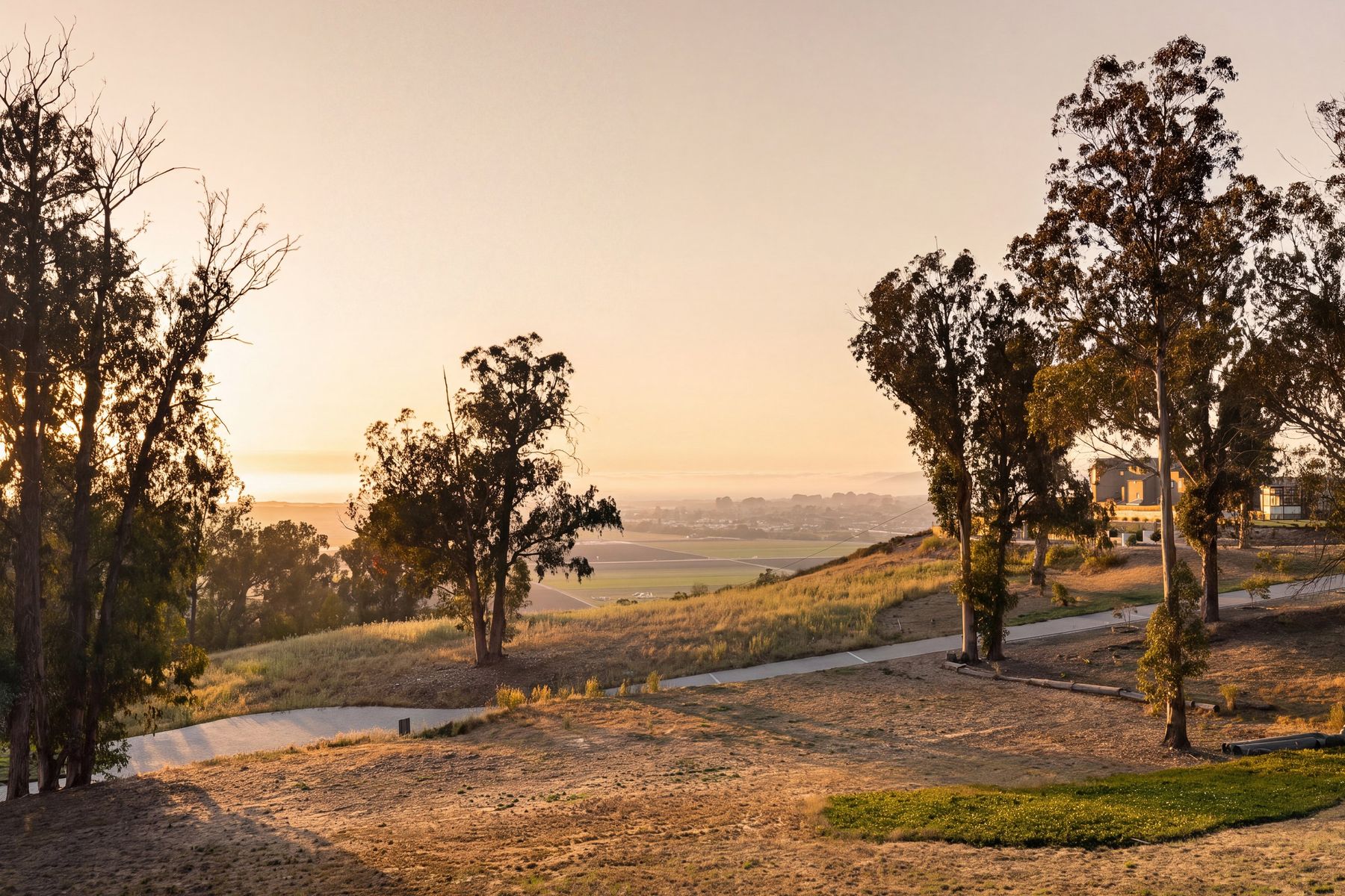 The view from Castle Bluff Estates at dusk, eucalyptus trees framing the valley and the ocean beyond
